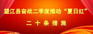 望江县奋战二季度推动“夏日红”二十条措施